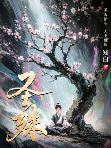 圣殊封面