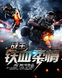 战王：铁血柔情封面